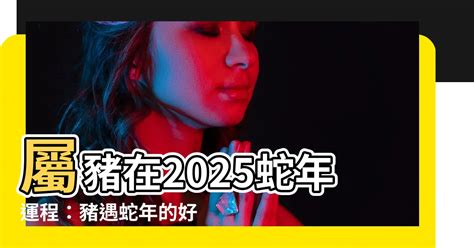 蛇年運程|2025蛇年運勢指南！開運、財運、事業創造新機遇 